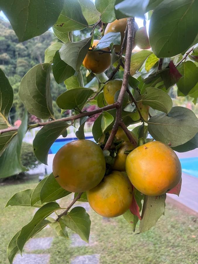 Pousada Jupter Teresópolis Exterior foto